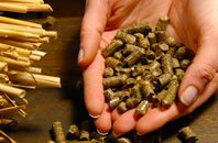 Goldstone pellet boiler